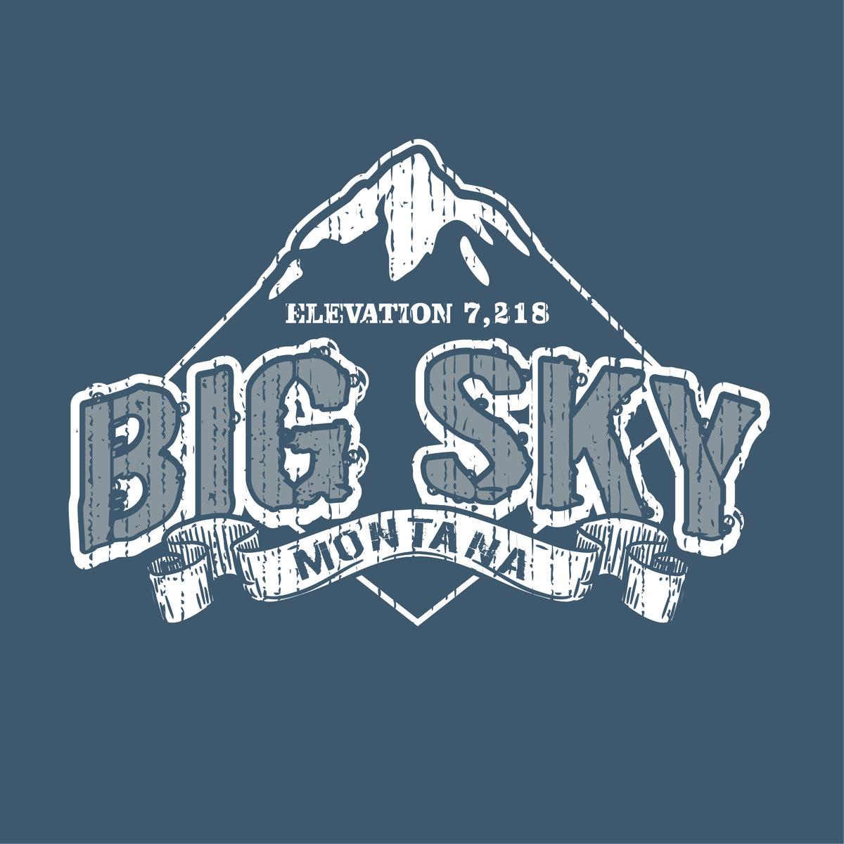 Screen Print 2 Color-SP2026-The Teehive