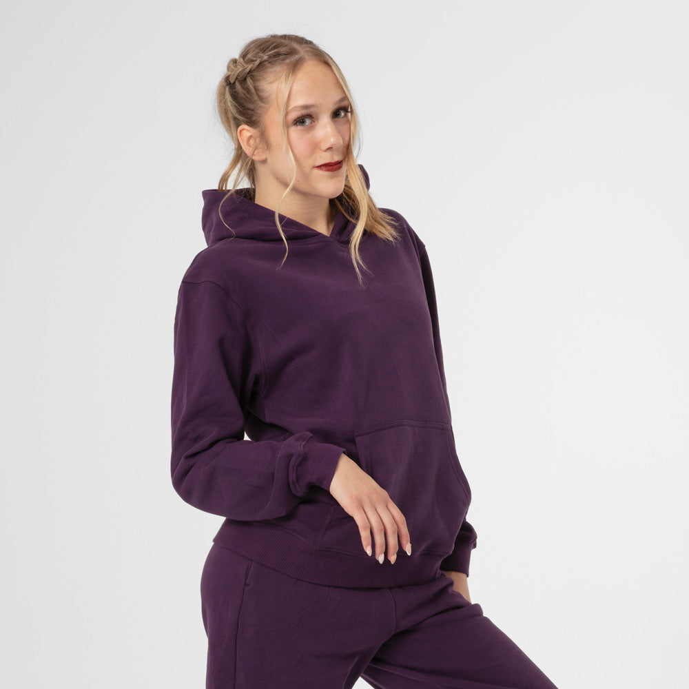 Premium Unisex Fleece Hooded Sweatshirt - TH2251